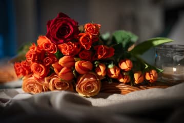 A bunch of red tulips lay on a table